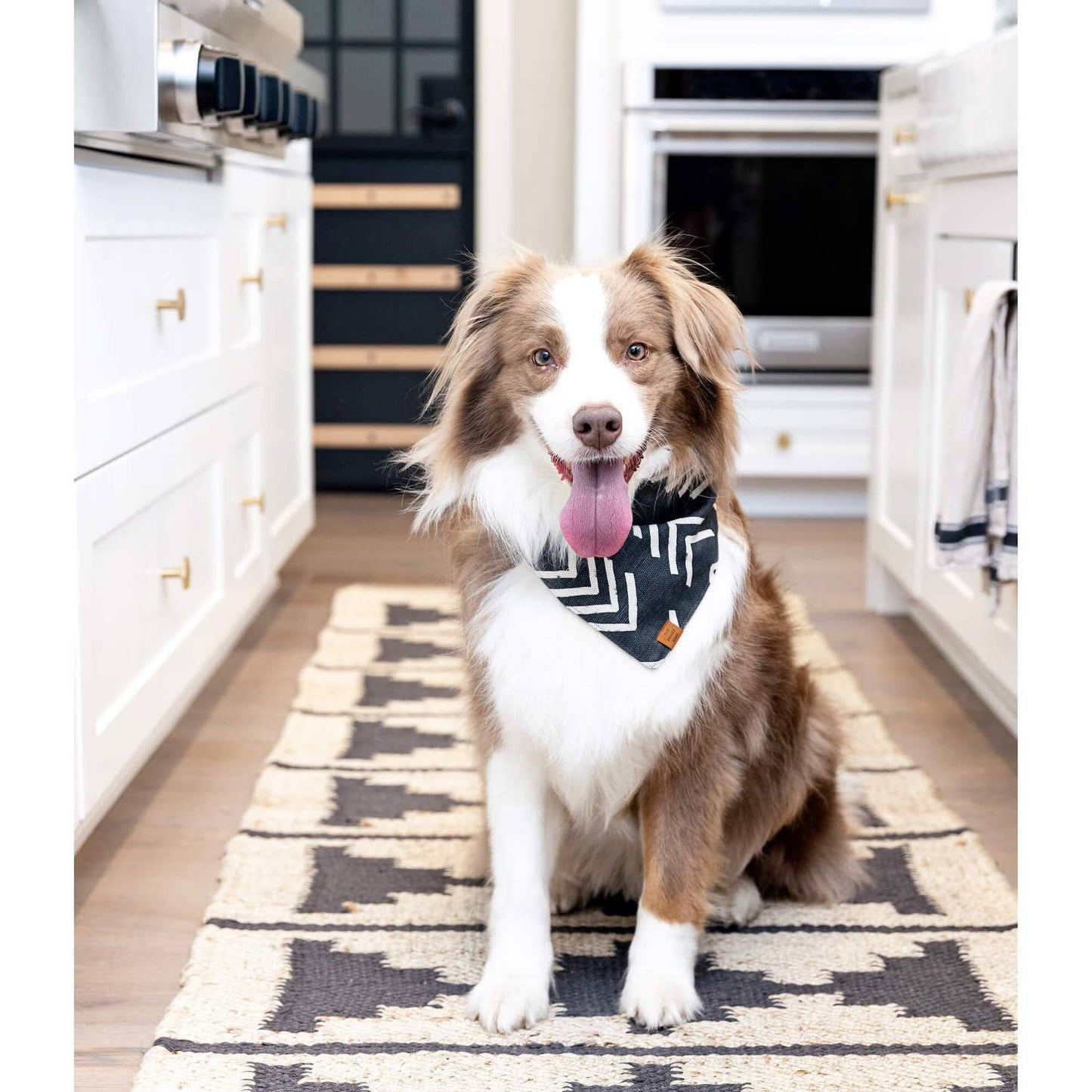 Modern Mud Cloth Black Boho Dog Bandana