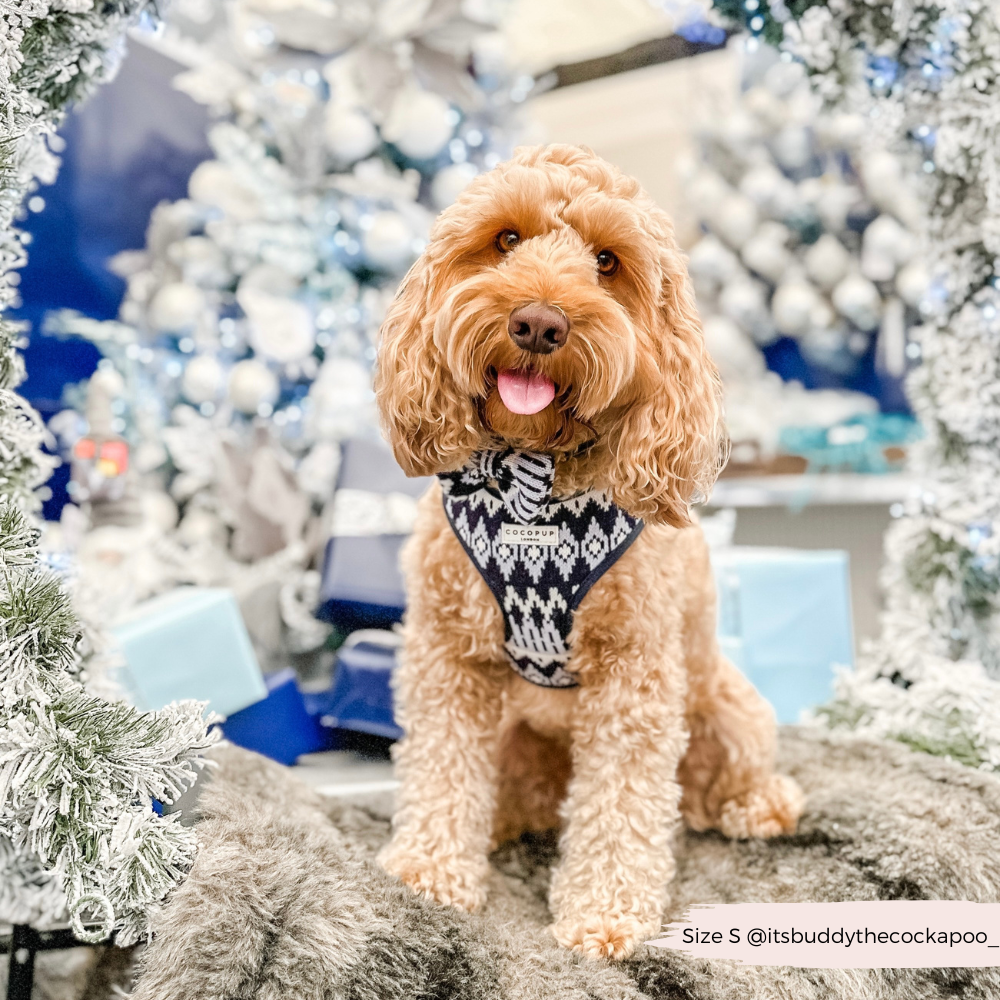 Arnés ajustable para perros Chalet Pup
