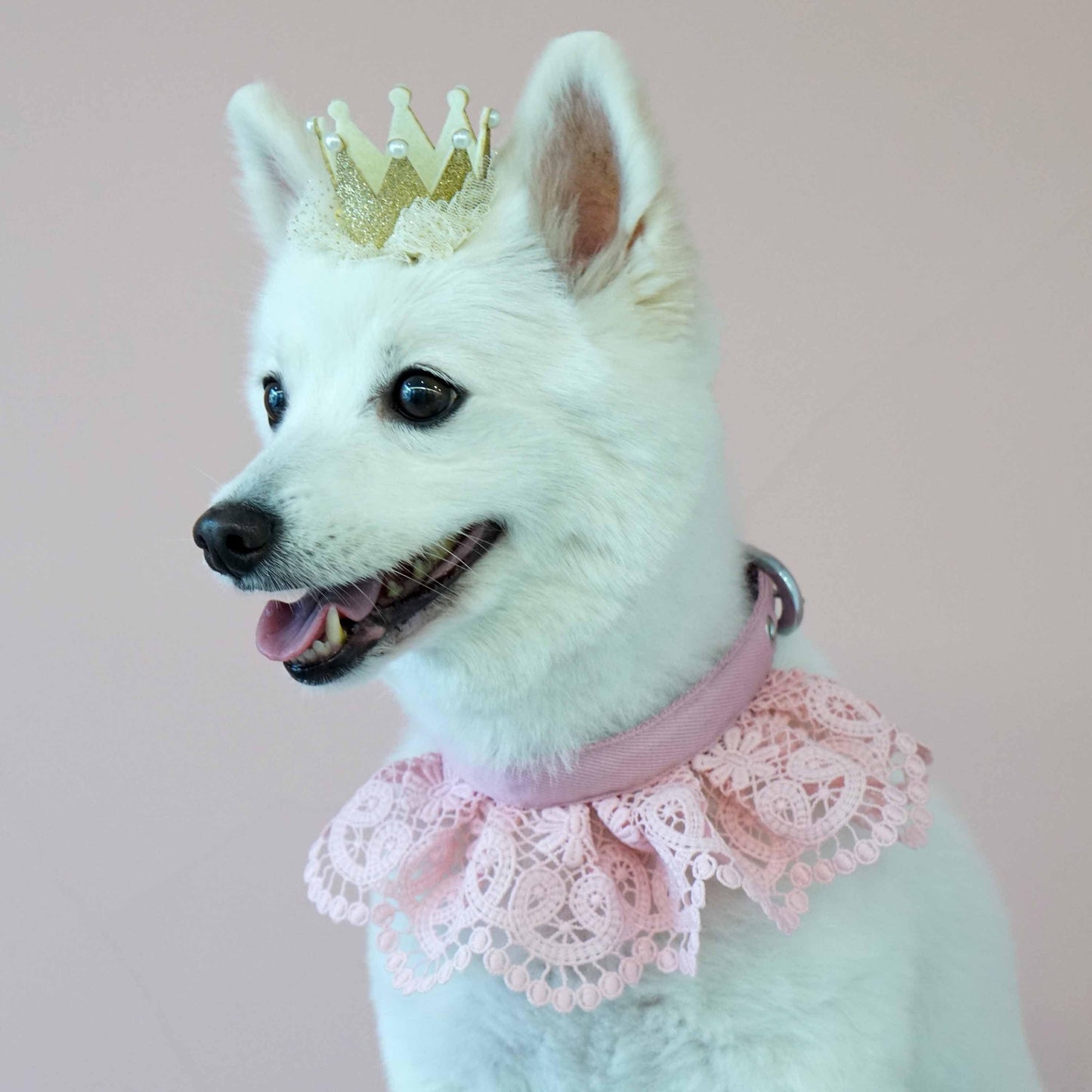 Cute Floral Lace Dog Collar - Lavender