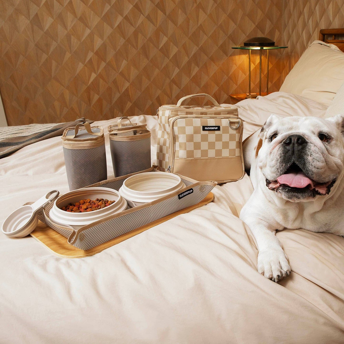 Bistro Box Dog Food Travel Kit - Check