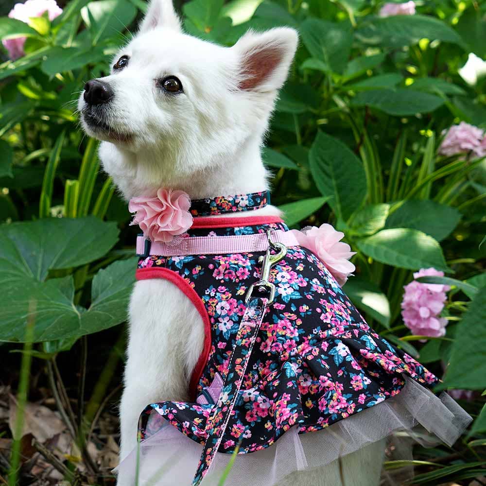 Floral Dog Collar with Flower - Assorted Colors