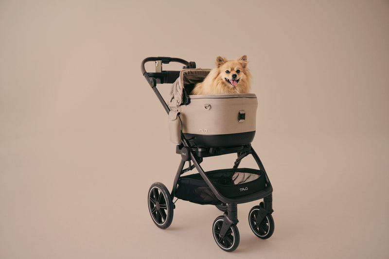 Tavo Maeve ISO WIND + Roscoe Travel System – Pixie Sticks Dog Boutique