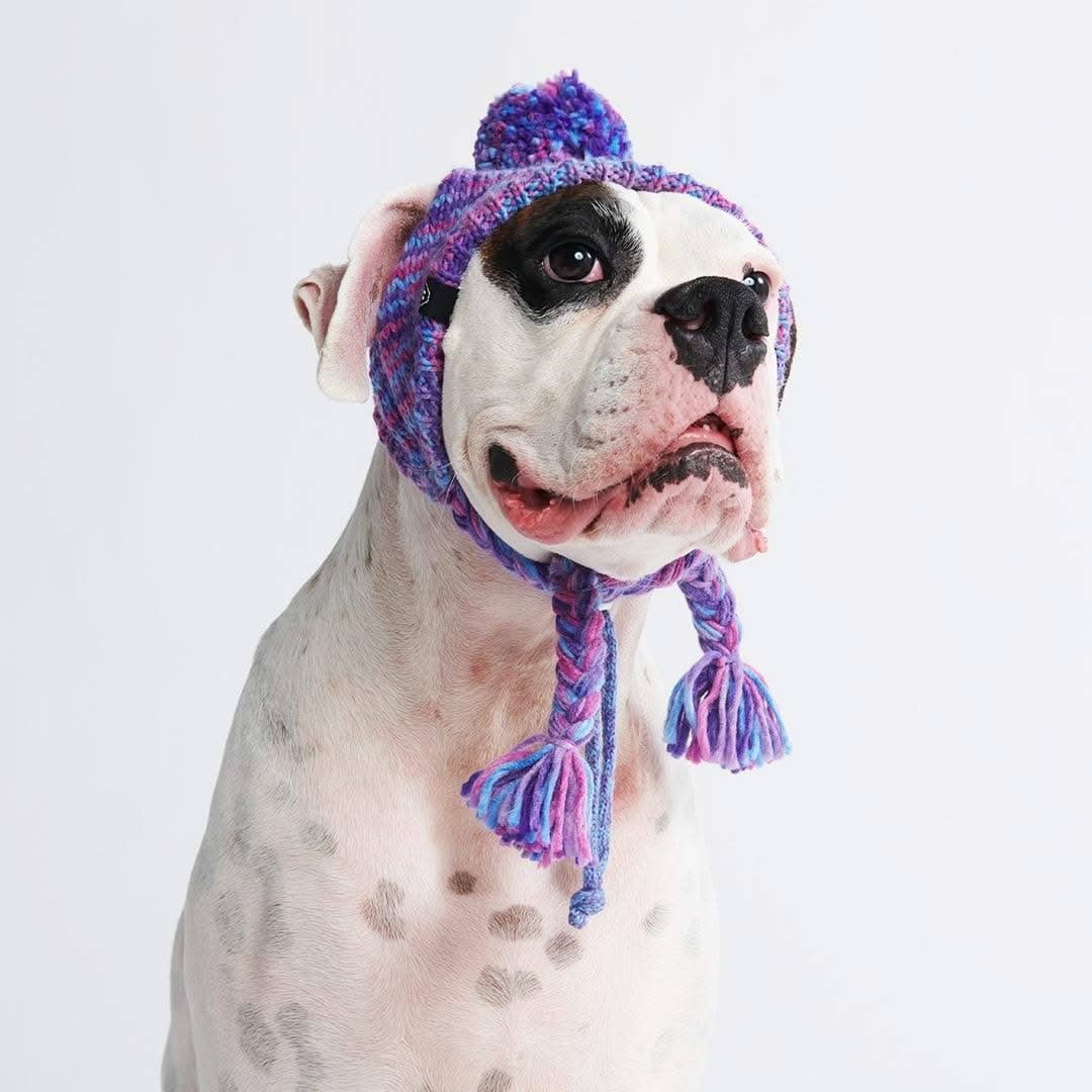 Gorro de punto con pompones para perro: morado y lavanda