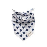 Bowie Bandana