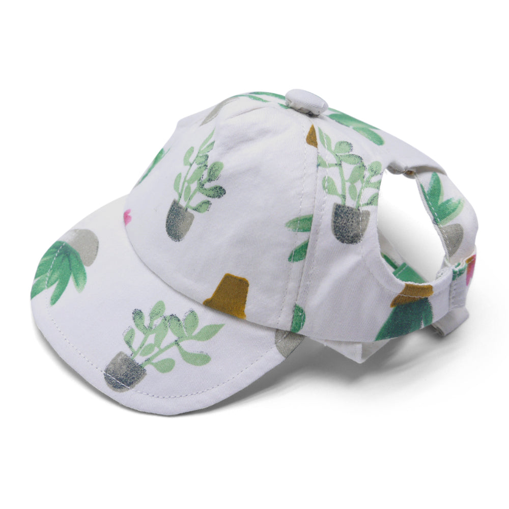 Cactus Dog Hat