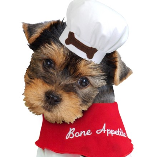 Gorro de chef con un gran apetito