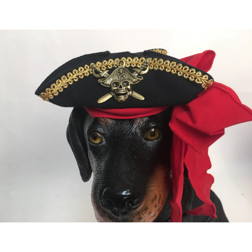 Buccaneer Pirate Costume Hat