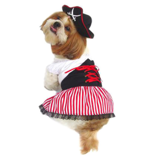 Lady Pirate Costume