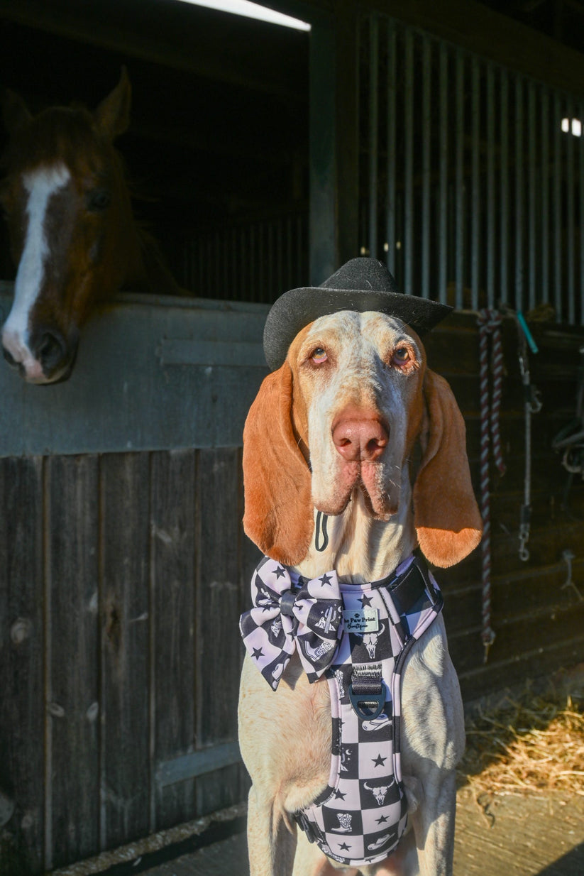 Wild West Bow Tie
