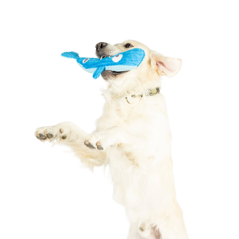 Wilma Whale Power Plush Dog Toy