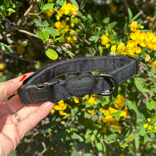 Collar de terciopelo para perros - Colores surtidos