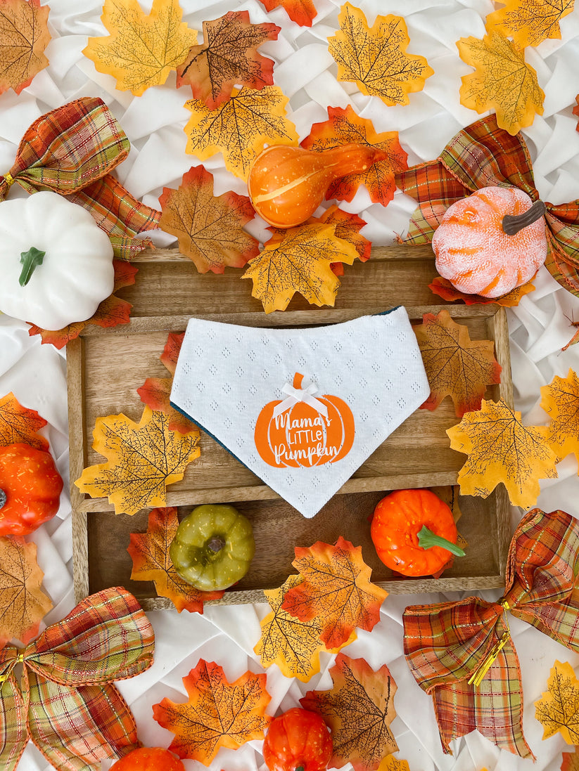 Mama's Little Pumpkin Reversible Dog Bandana