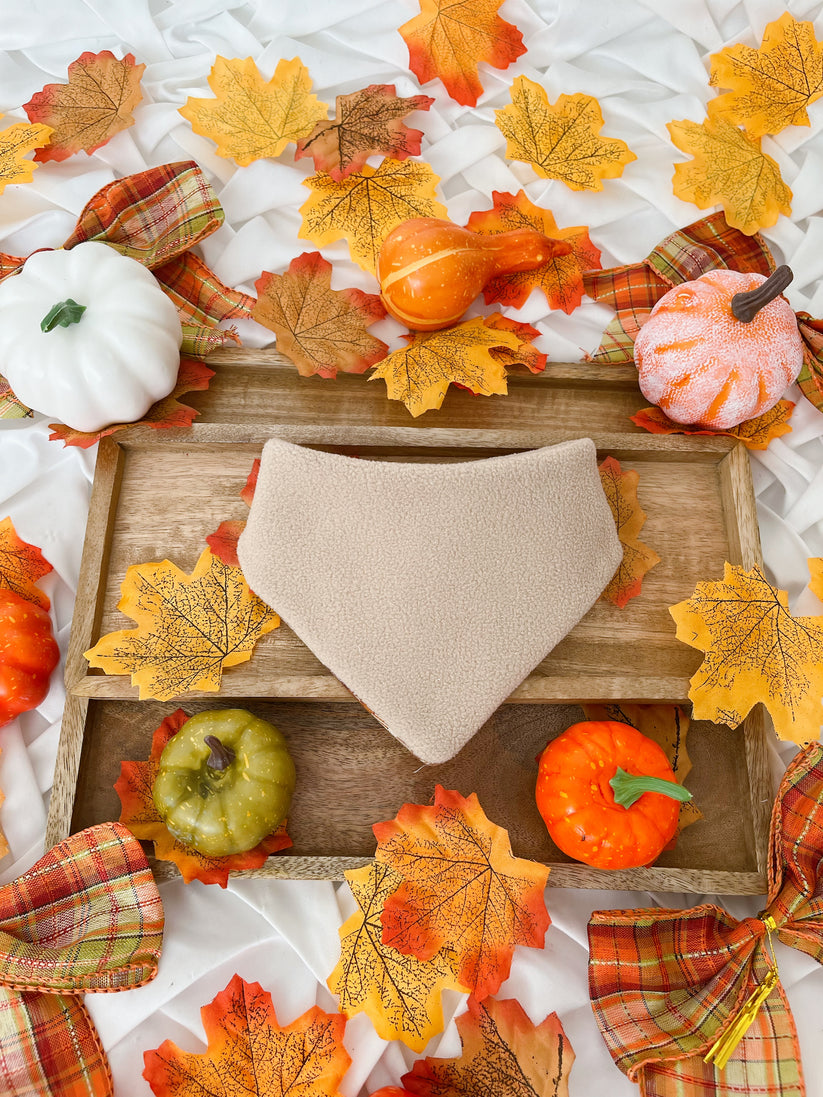 Cutest Pumpkin Reversible Dog Bandana
