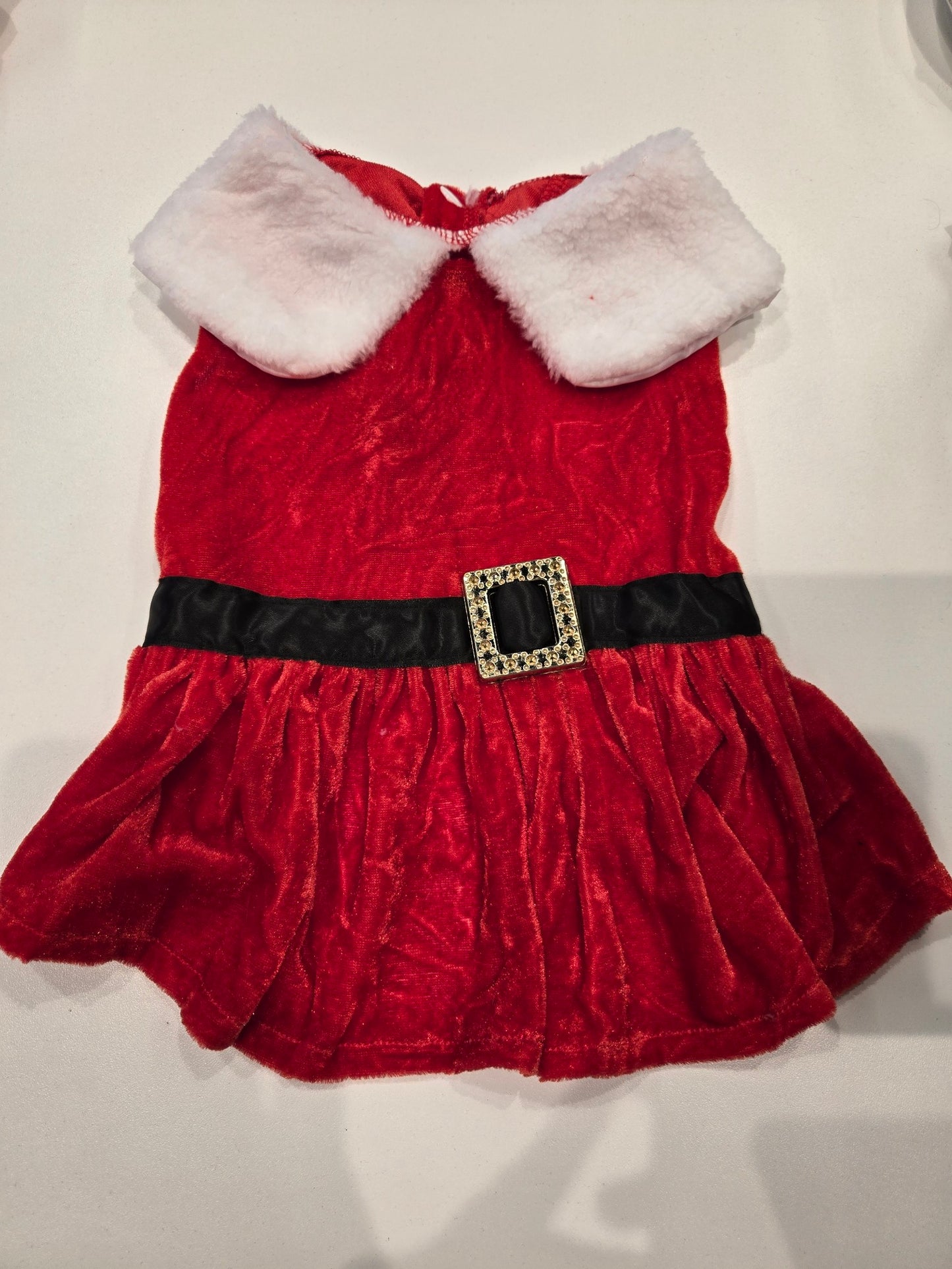 Santa Dog Dress