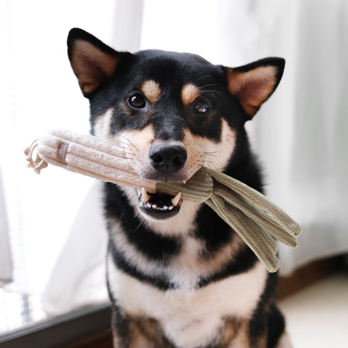 Leek Enrichment Dog Toy