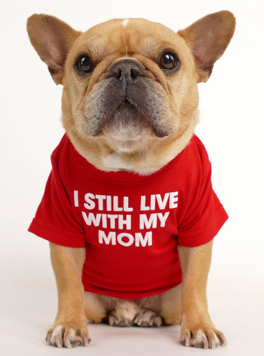 I Still Live With My Mom Dog Tee