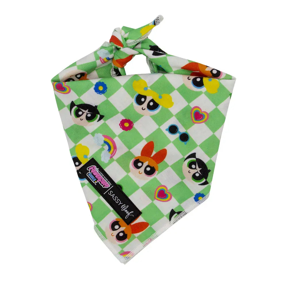 Bandana para perro - Las Chicas Superpoderosas™ - Verde