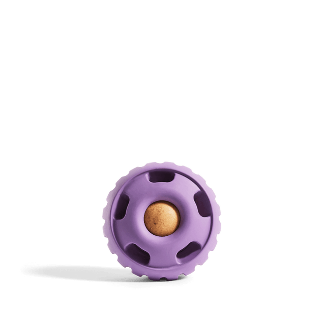 Pupsicle Lavender - World's Best Treat Dispensing Dog Toy
