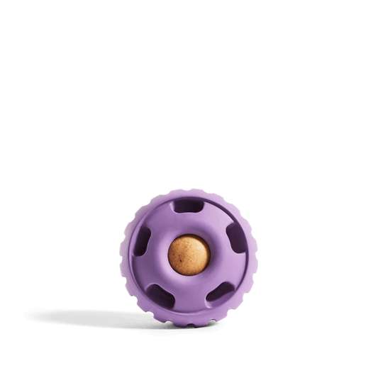 Pupsicle World's Best Treat Dispensing Dog Toy - Lavender