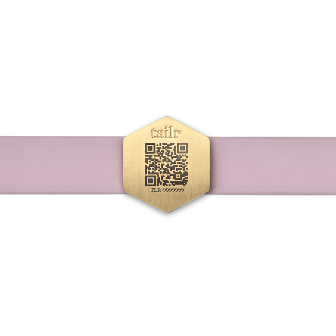 Tailr Slide Tag