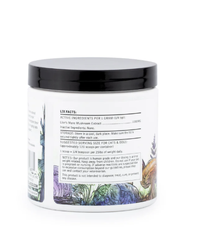 Lion's Mane Extract Powder