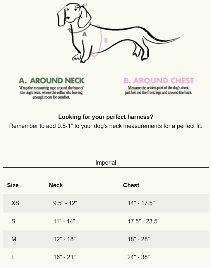 Wander! Blossom Pink Harness - Assorted Styles