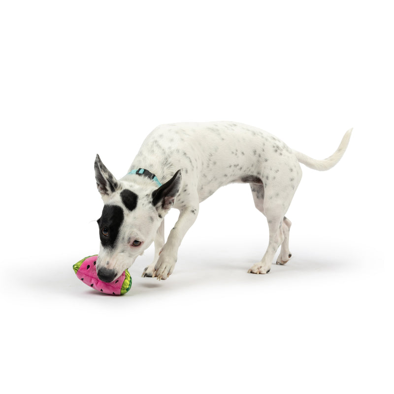 Tiny Tuff Walter Melon Plush Dog Toy