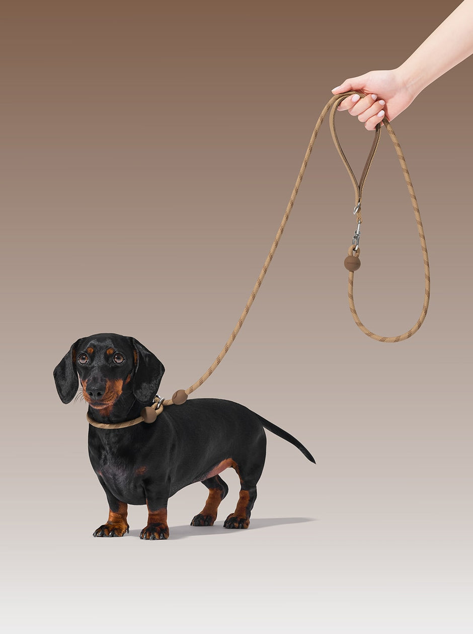 Connect Lite Rope Leash - New Assorted Styles