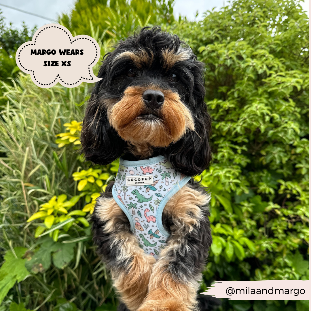 Dinopaws Adjustable Neck Dog Harness
