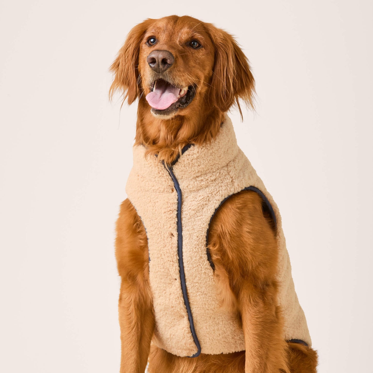 Quilted Navy Sherpa-Lined Reversible Dog Jacket
