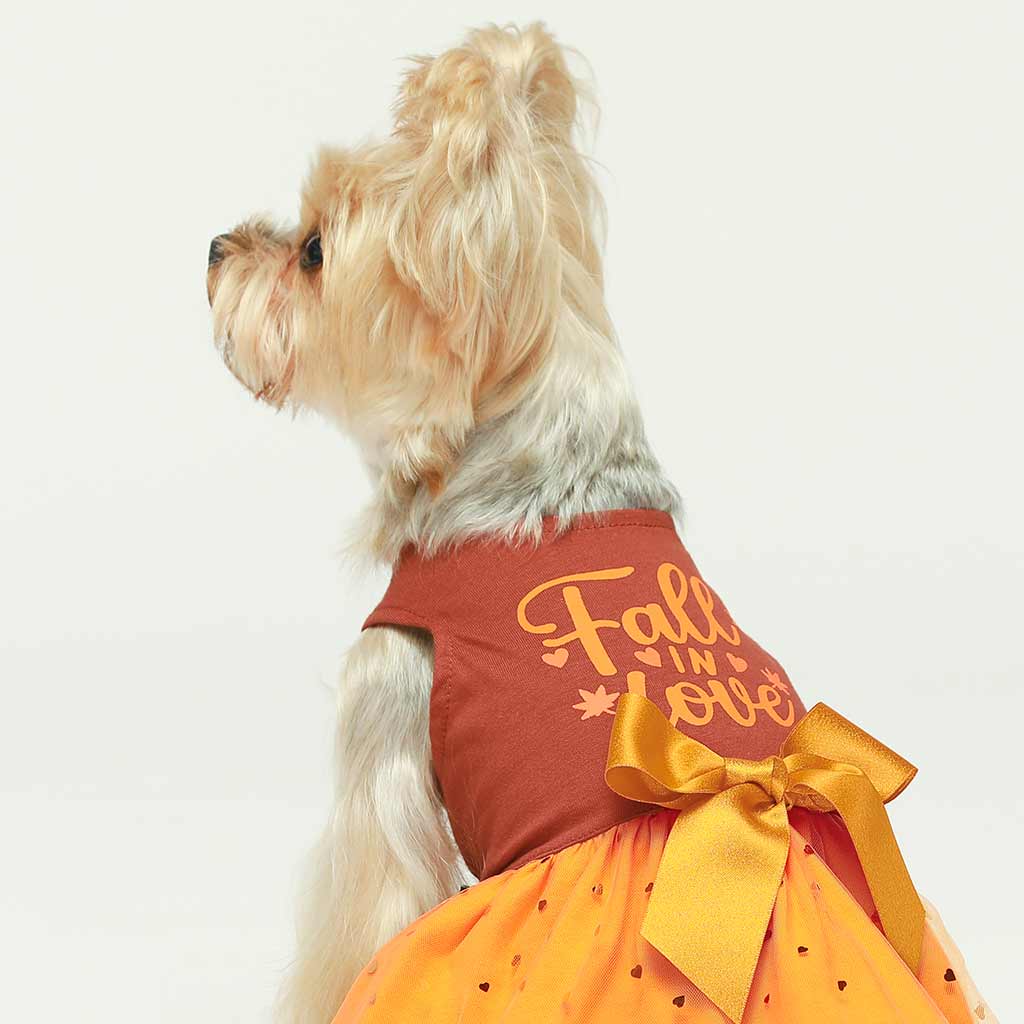 Fall in Love Dress