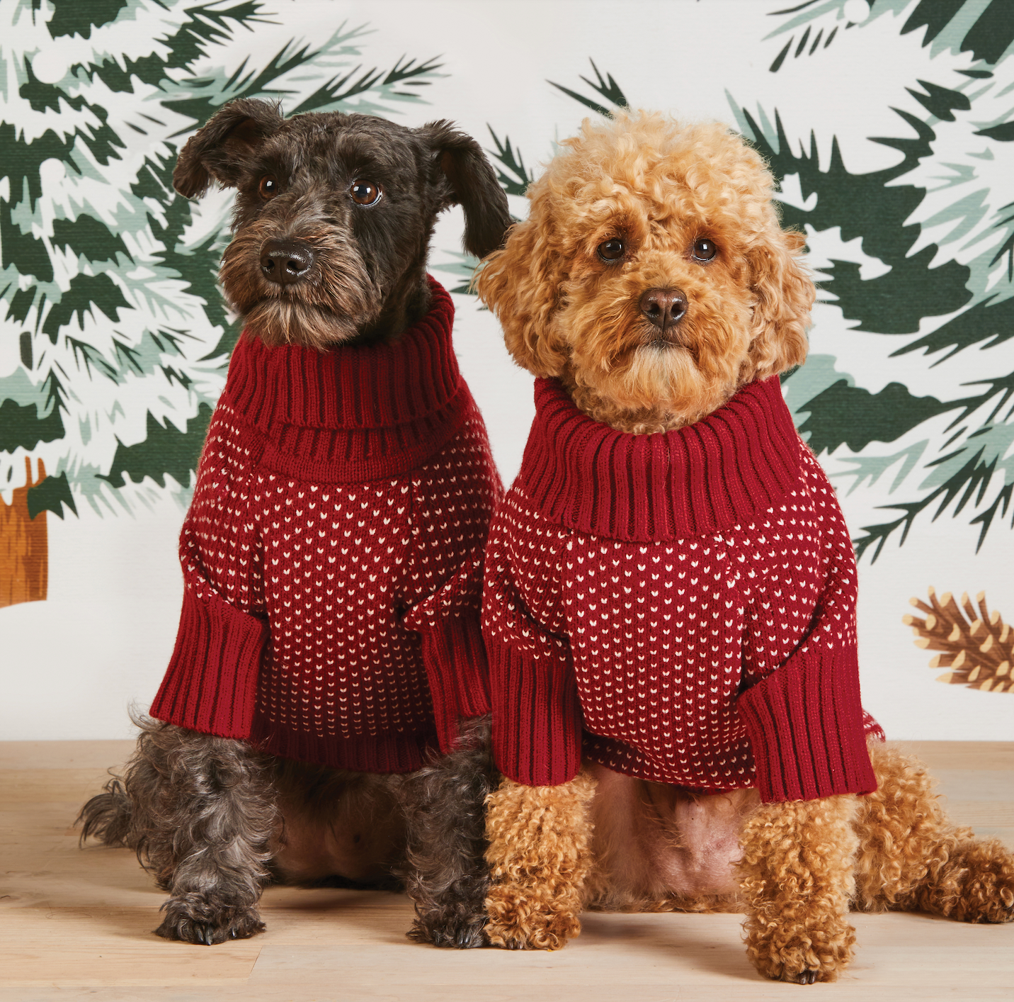 Heart Stitch Dog Sweater