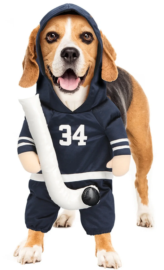 Disfraz de perro de Halloween de Stanley Pup