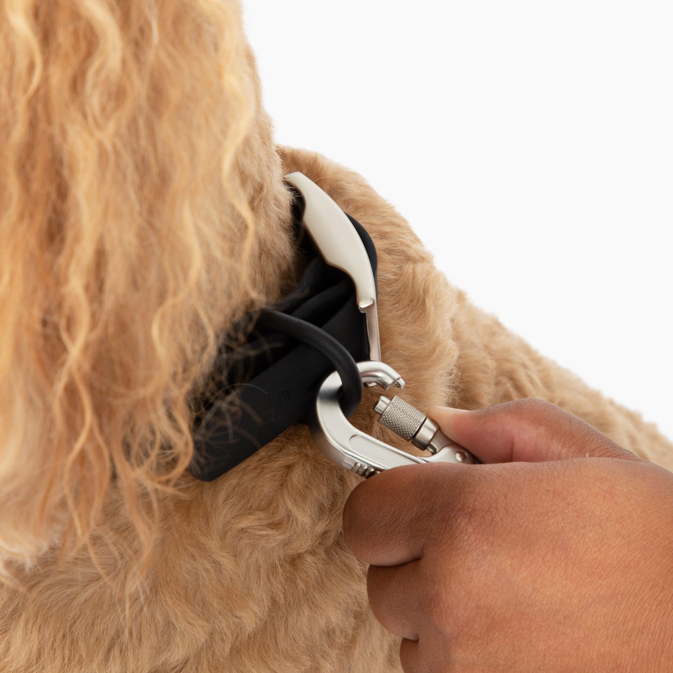 Collar para perros de PVC resistente al agua de medianoche