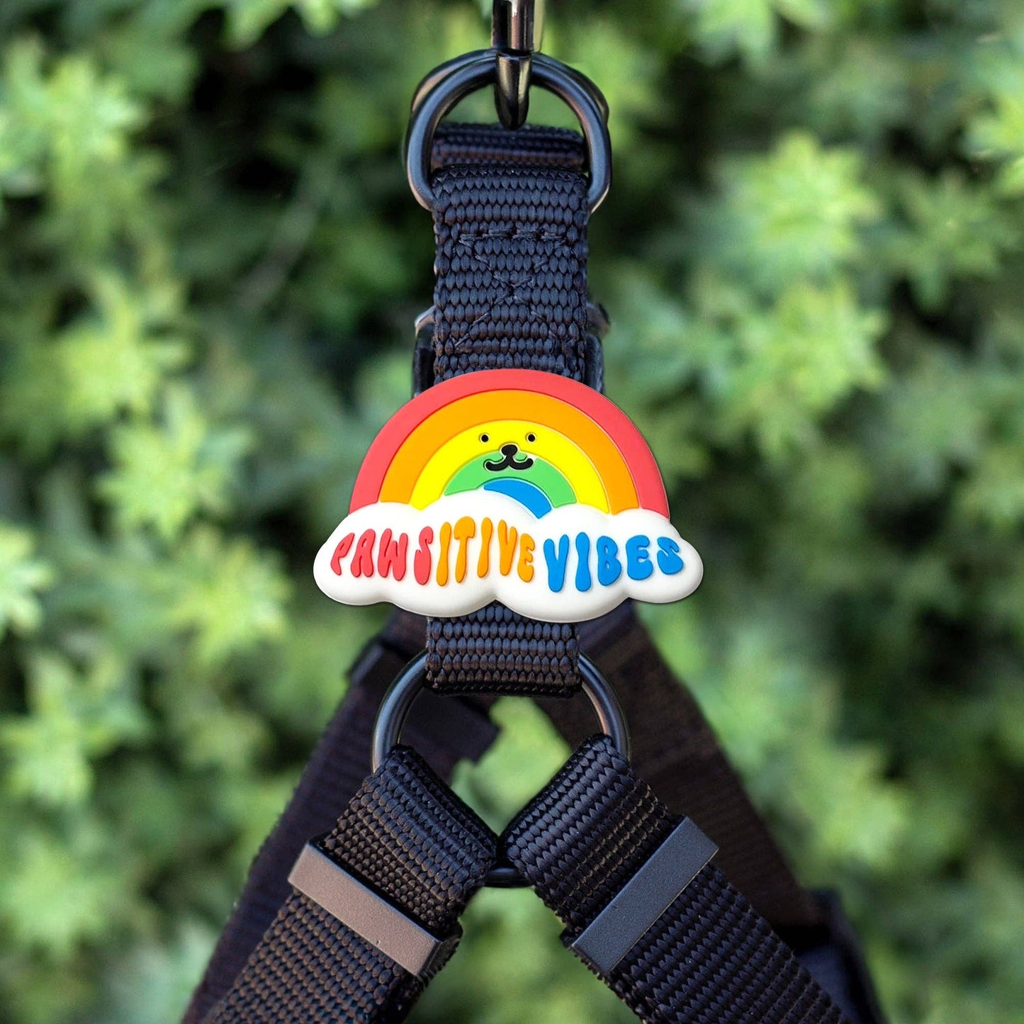 Rainbow Dog Jiby