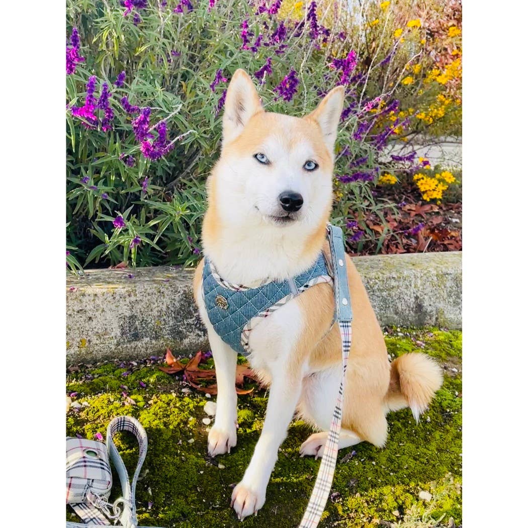 Step-In Denim Harness - Beige Plaid