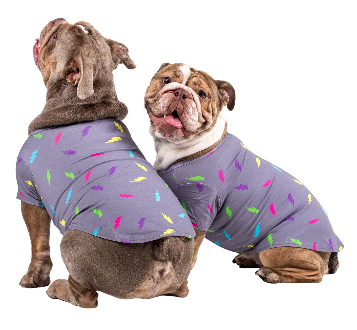 Electric Energy Dog Shirt