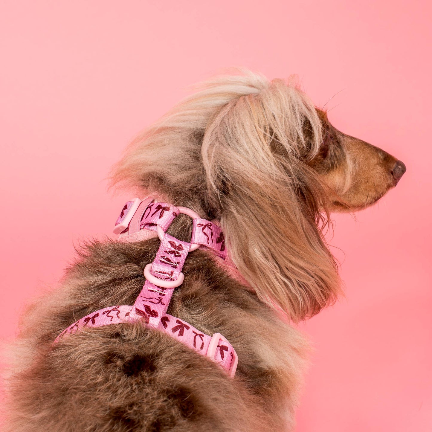 Velvet Blush Bows Adjustable Dog Harness