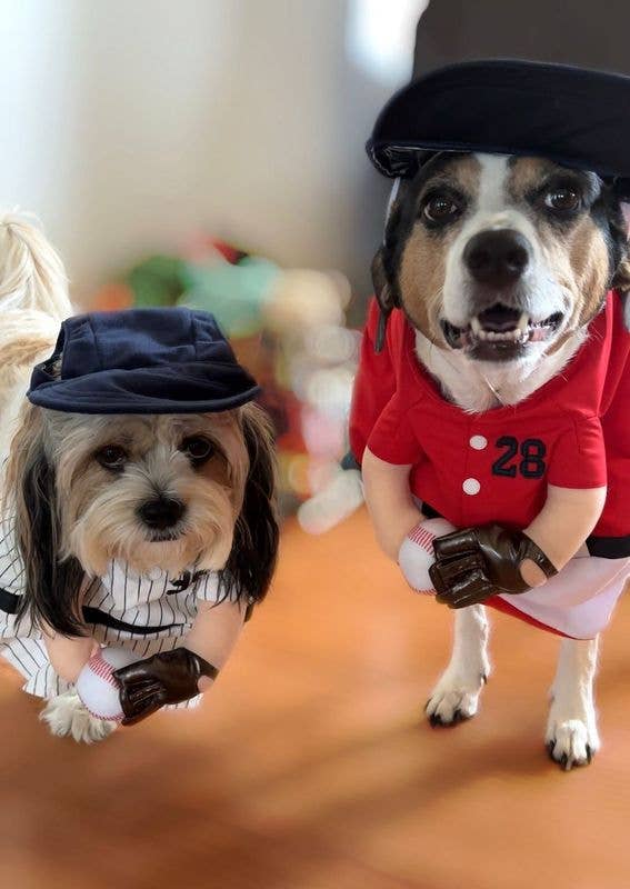 Disfraz de perro de Halloween de The Home Ruff