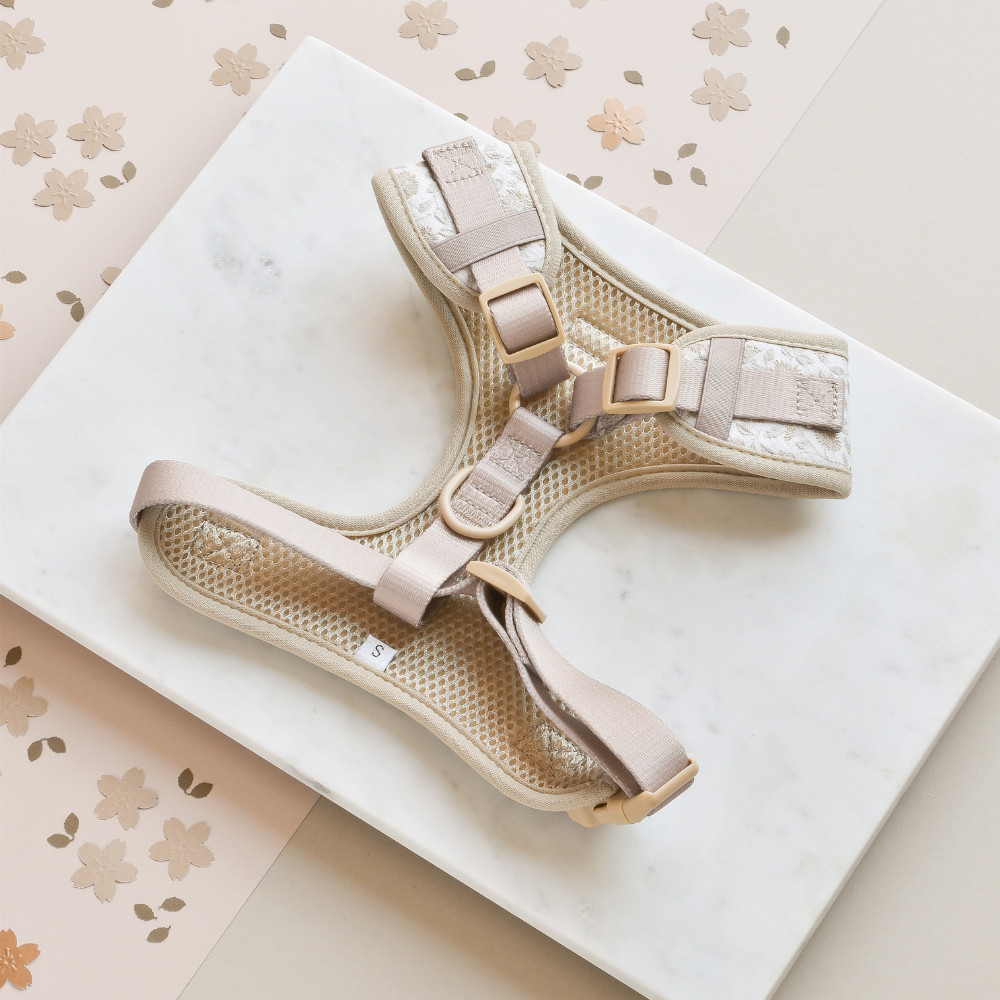 Luxe Adjustable Neck Harness - Garden Meadow