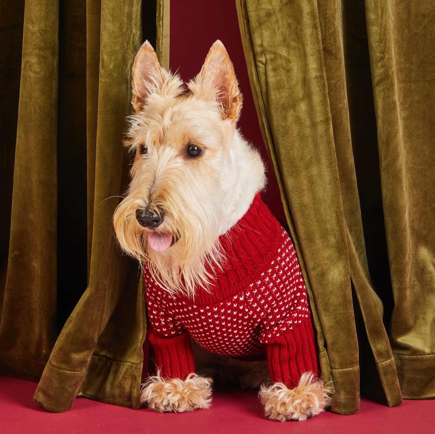 Heart Stitch Dog Sweater