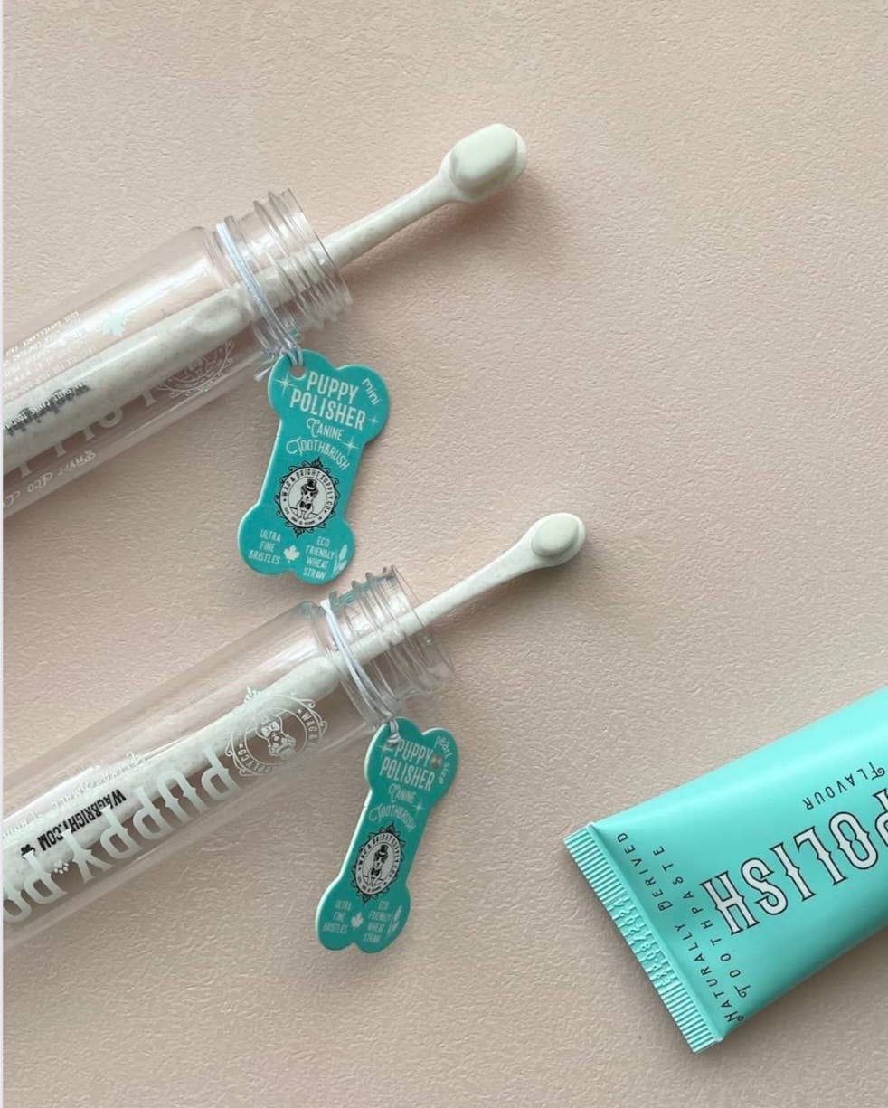 Puppy Polisher Toothbrush - Extra Small