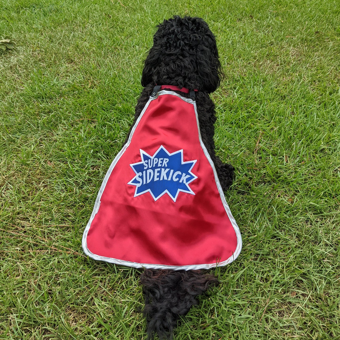 Capa de superhéroe para perro Super Sidekick en color magenta