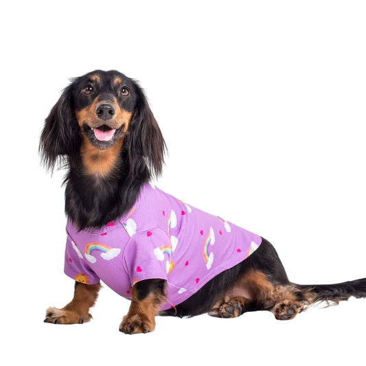Chasing Rainbows DogTee