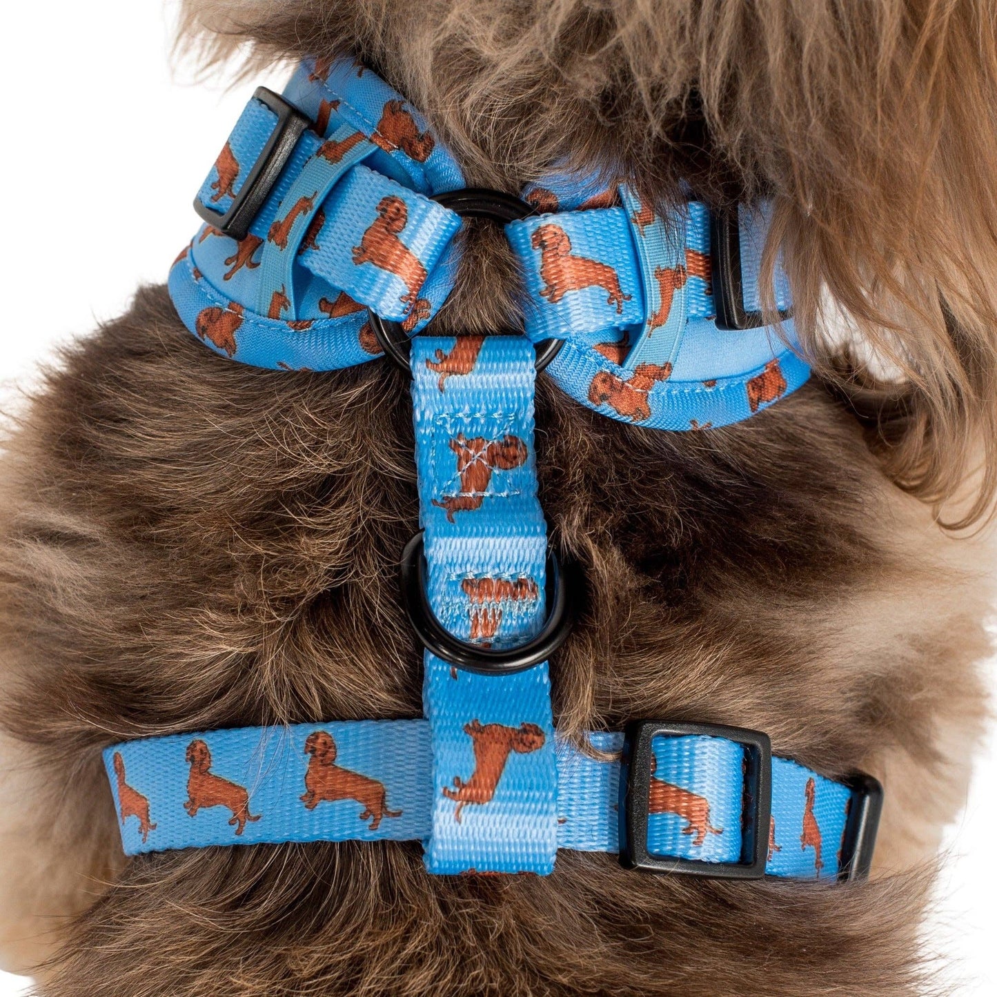 Arnés ajustable para perros Dachshund