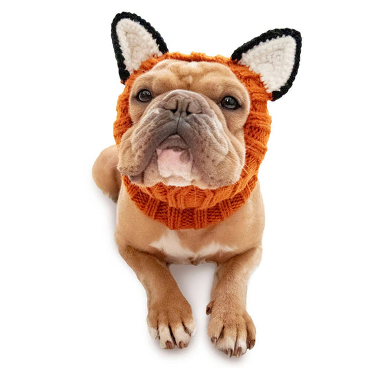 Snood del zoológico de zorros