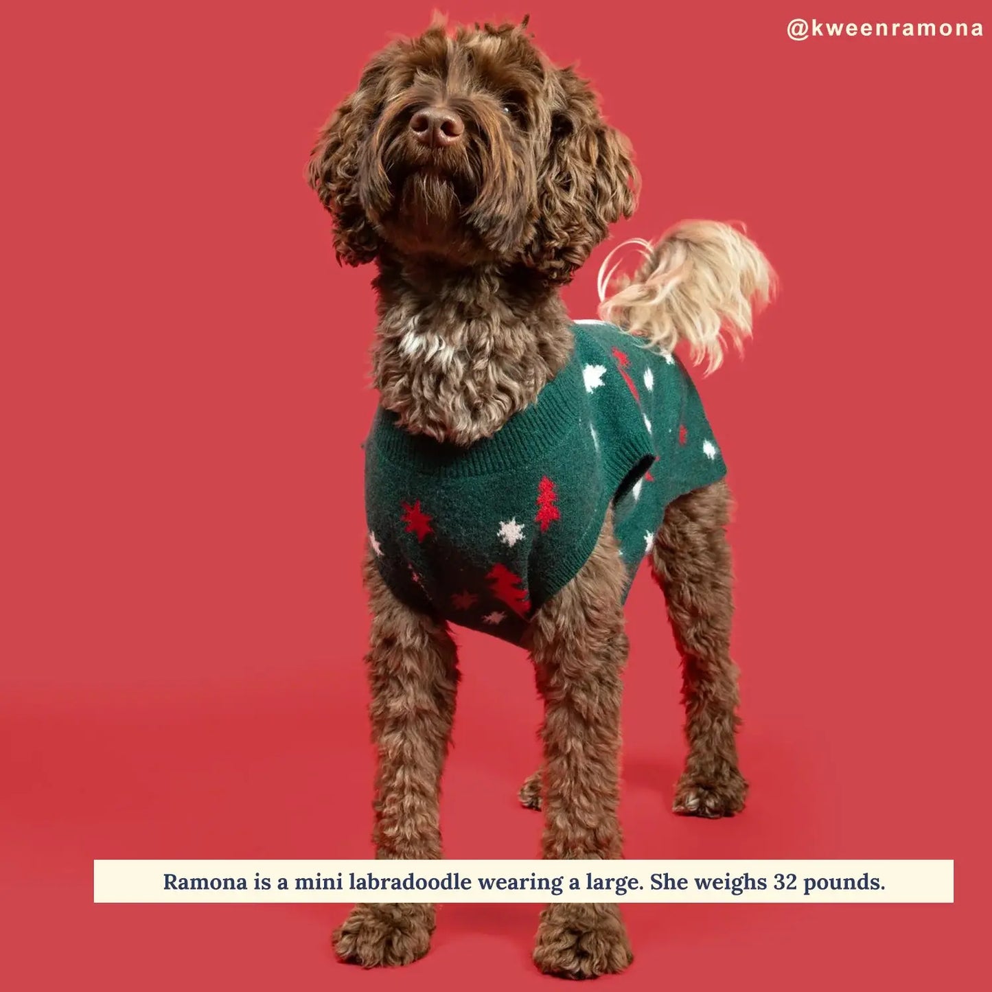 Joy to the World Dog Sweater