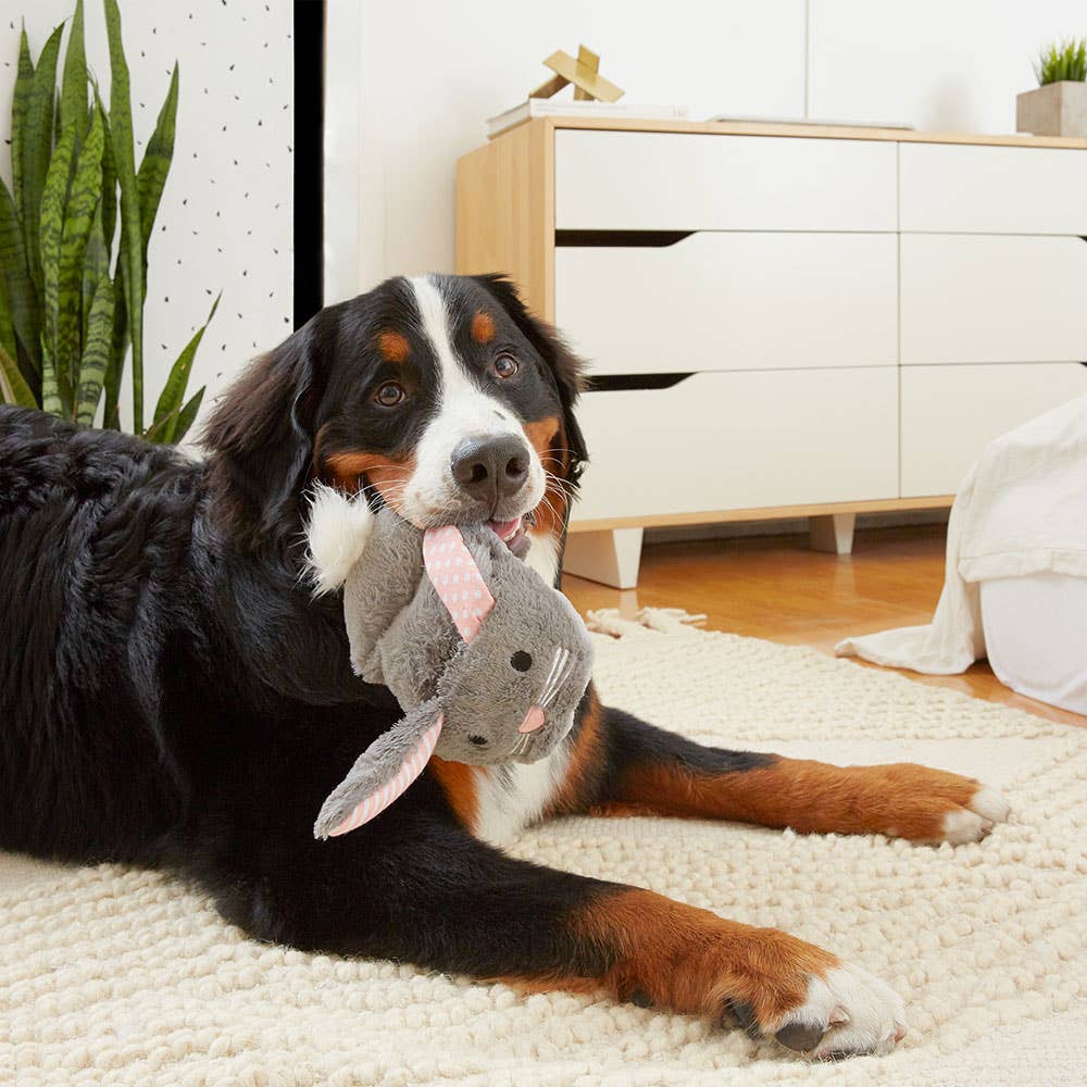 Juguete para perros BARK Itty & Bitty the Bunny Slippers