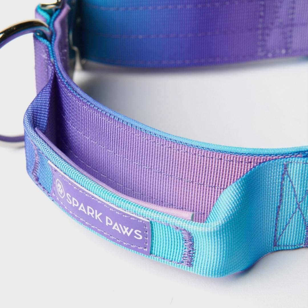 Tactical Dog Collar - 90s Retro