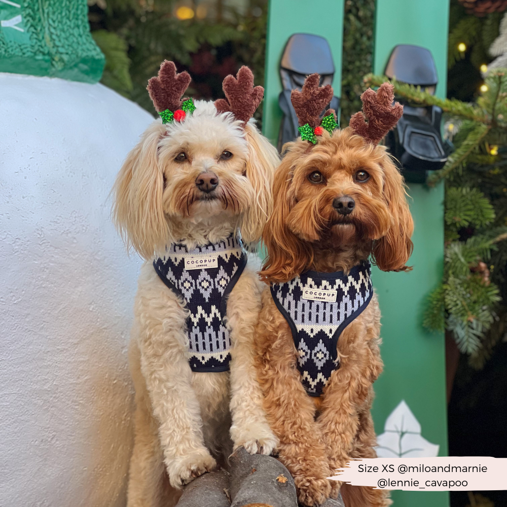 Arnés ajustable para perros Chalet Pup